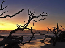 Load image into Gallery viewer, Driftwood Island