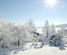 Load image into Gallery viewer, White Christmas (Sleighbells)