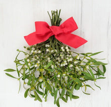 Load image into Gallery viewer, Hillbilly Mistletoe
