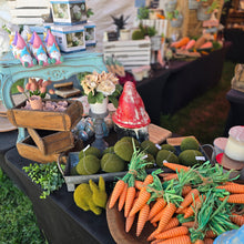 Load image into Gallery viewer, Set of 3 Carrot Bundle
