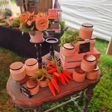 Load image into Gallery viewer, Set of 3 Carrot Bundle
