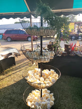 Load image into Gallery viewer, Chunkie WAX MELTS
